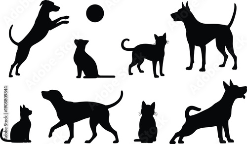 Dog and cat silhouettes vector illustration, playful pet animals in various poses, black isolated canine and feline shapes collection set