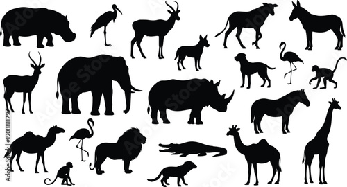 Silhouette collection of wild animals including giraffe, elephant, rhinoceros, camel, lion and monkey isolated on white background for nature projects