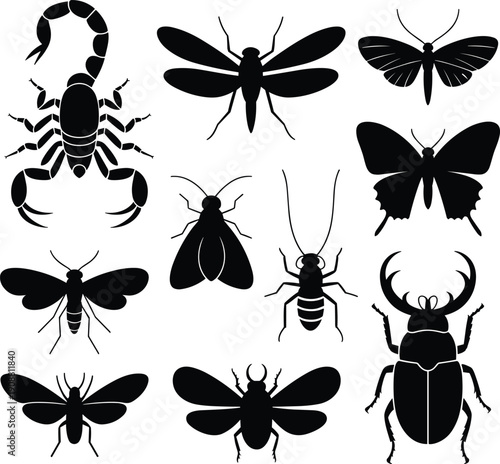 Insect silhouette vector collection, assorted beetle butterfly scorpion dragonfly bug silhouettes isolated black entomology icons set for design elements