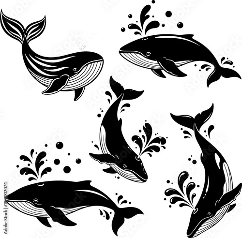 Humpback whale silhouette set, marine mammal vector illustration