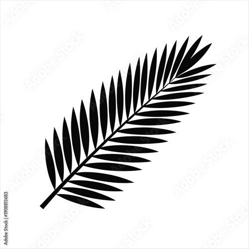Black palm frond silhouette against white background, minimalist tropical leaf design