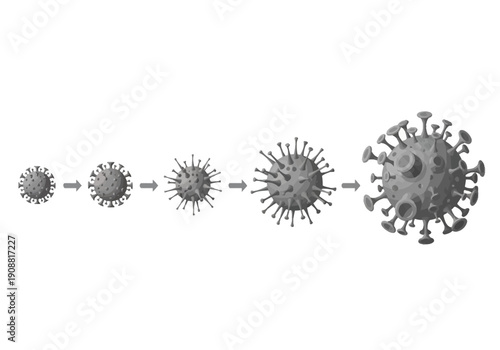 Visual representation of a virus's growth and replication stages, illustrating its progression