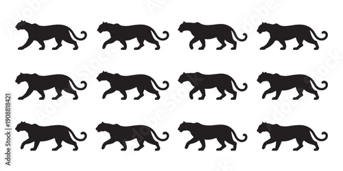 Set of twelve black panther silhouettes in different walking poses isolated on white background stock illustration