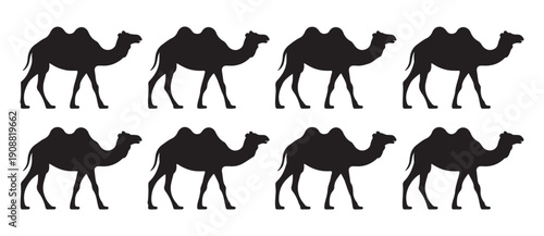 Set of eight camel silhouettes walking in desert landscape in two rows