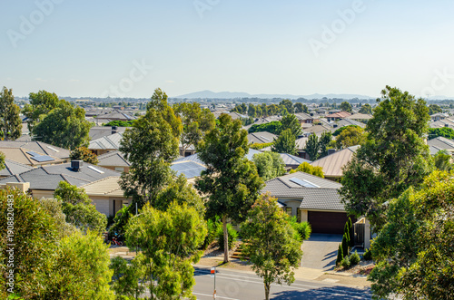 Bild auf Leinwand Rows of modern detached houses with tiled roofs are nestled among mature eucalyptus trees