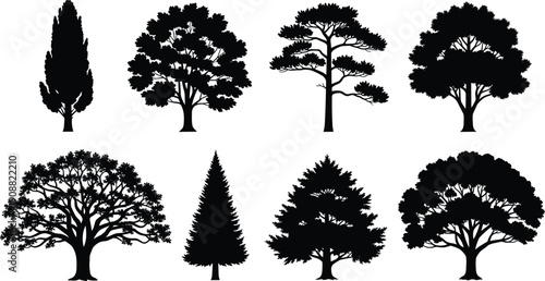 Black tree silhouettes set featuring various species including oak, pine, fir, cypress, and maple for nature, landscape, and forest design