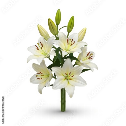 Elegance in Bloom: A close-up shot of a pristine bouquet of white lilies, exuding purity and serenity, showcases nature's delicate artistry.