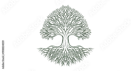 Stylized tree illustration with intricate branches and root system on white