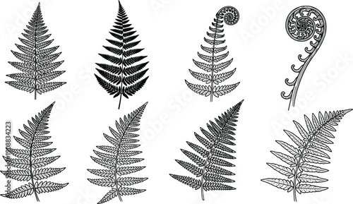 Black and white vector set of fern leaf silhouettes, tropical forest plant fronds, botanical garden greenery icons, and fiddlehead fern swirls.