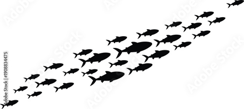 Black silhouette vector set of a school of fish swimming together in a group, marine life underwater animals, sea colony.