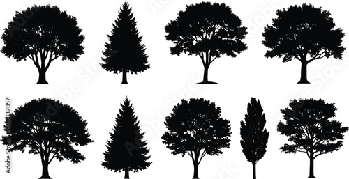 Collection of Deciduous and Conifer Tree Silhouettes in Various Natural Shapes Isolated as Black Forest Vector Set on White Background
