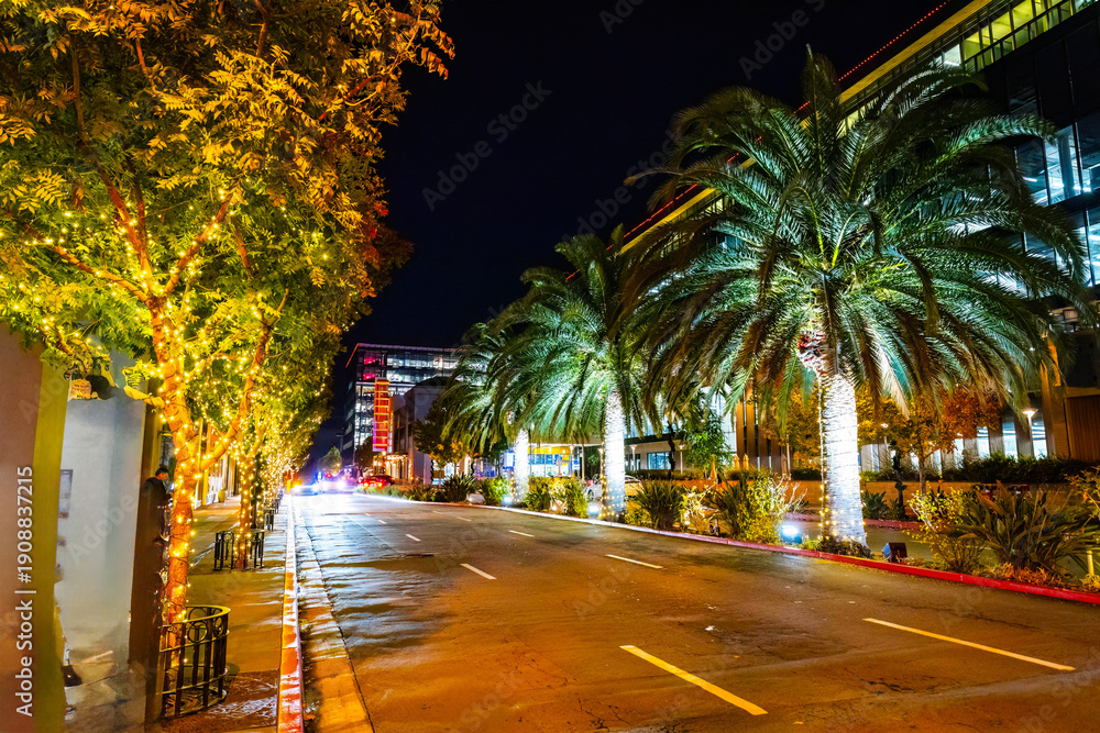 Obraz premium Alley of Palms at Night in Santana Row