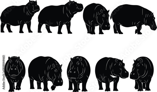 Hippopotamus silhouettes vector, animal illustration design, black and white graphic art, wildlife icon, zoo creature outline, hippo shape, nature drawing