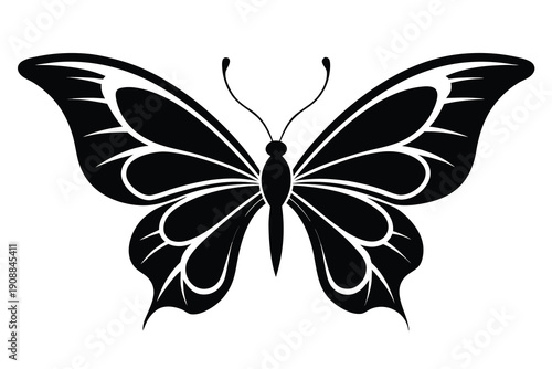 black and white butterfly