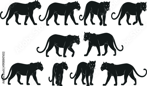 Panther silhouettes vector, wild animal illustration, black and white graphic art, jungle predator design, feline outline, wildlife icon, nature drawing