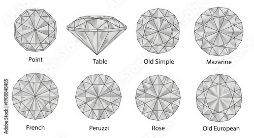 Detailed diagrams of various types of geometric and lattice-based snowflake structures isolated on transparent background
