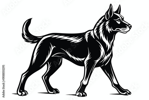 black and white wolf