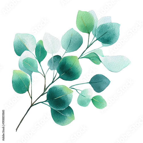 Flat Pastel Eucalyptus Branch Illustration PNG Transparent Background, Soft Green Leaves Watercolor Art