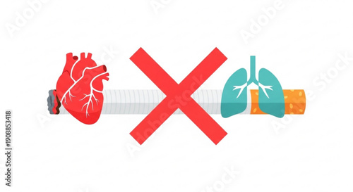 No smoking healthy heart and lungs protected from cigarette anti smoking concept with red cross
