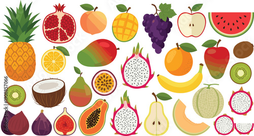 Flat vector illustration set of fresh exotic fruits including pineapple pomegranate mango grapes apple watermelon coconut dragon fruit papaya pear and sweet figs.