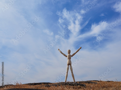 Wallpaper Mural 冬の公園の枯れた芝生に立っている木製のマネキン人形の姿 Torontodigital.ca