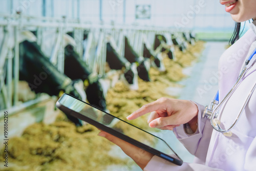 Asian young female veterinarian using a tablet inside a modern dairy barn, monitoring cow health, applying digital technology for livestock care, sustainable farming, animal welfare,agricultural