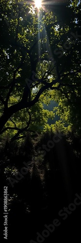 Shadows embrace kin beneath sun-dappled canopy; paternal warmth, verdant hush, black family,  top view
