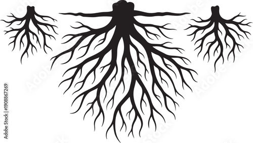 Black Silhouette of Tree Roots on White Background Illustration