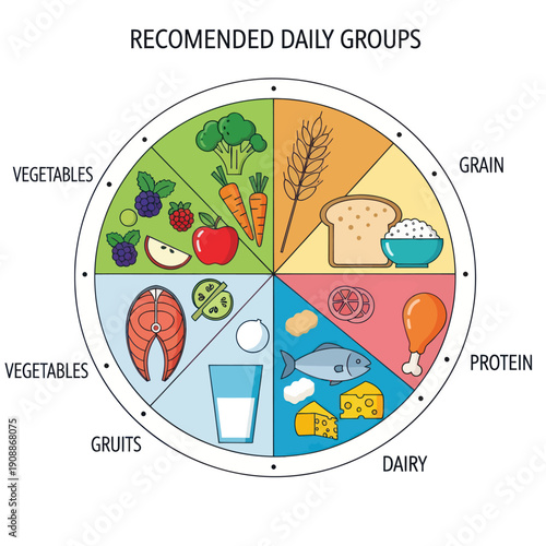 Recommended Daily Food Groups Infographic with Balanced Diet.