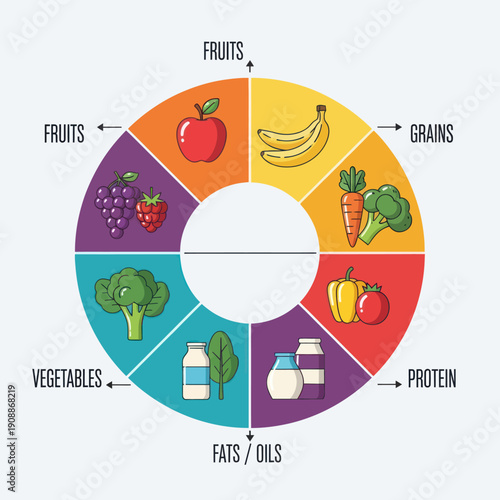 Healthy eating food groups circular diagram illustration.