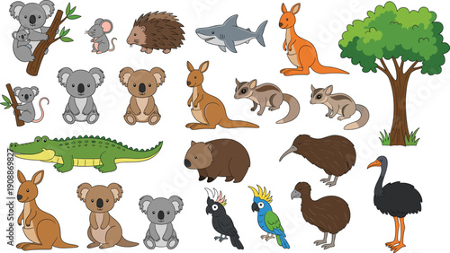 Australian wildlife vector illustration set with koala kangaroo emu and eucalyptus tree for Oceania travel and nature education