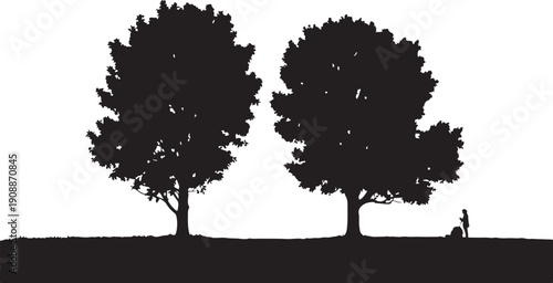 Silhouette of person sitting under trees at sunset