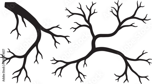 Black branching tree like structure on white background