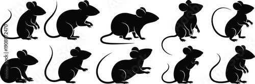 Silhouettes of mice in various poses, distinct body shapes, ear sizes, tail positions, arranged in rows for identification