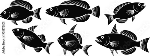 Stylized black fish illustrations with white line detailing, unique fins and tails, arranged in rows, facing opposite directions