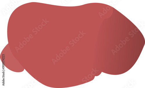 animal organ and parasite