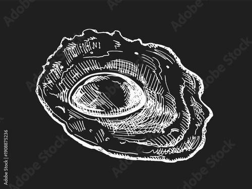 Hand drawn vintage sketch of fried egg with textured edges in chalk style on chalkboard background