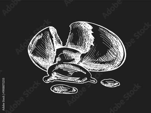 Hand drawn vintage sketch of broken egg with spilled yolk and shell pieces in chalk style on chalkboard background