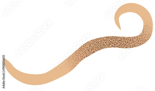 animal organ and parasite