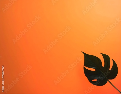 Single dark green leaf against vibrant orange gradient background