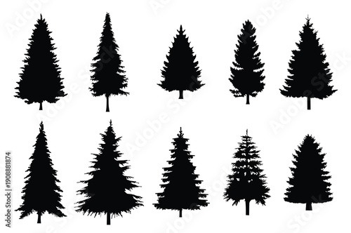  set of pine trees silhouette on a white background 