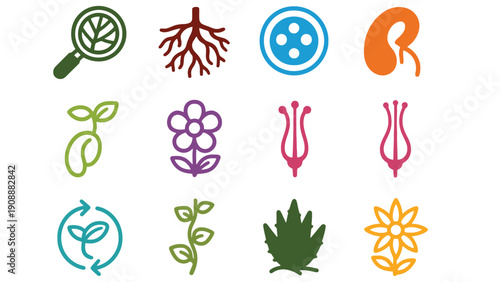 Flower icons set including magnifying glass and kidney vector illustration