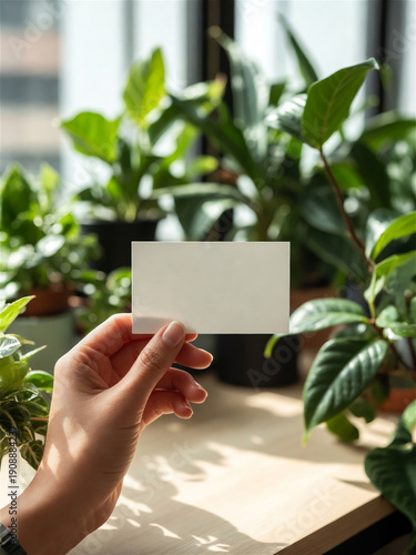 Hand holding blank white card mockup over wooden table with potted plants, eco friendly branding template, minimalist aesthetic, natural lighting, work from home background, authentic lifestyle scene.