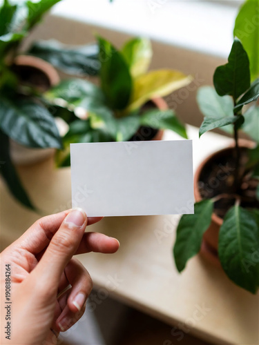 Hand holding blank white card mockup over wooden table with lush green houseplants, minimalist eco friendly branding template, natural light, workspace background, authentic lifestyle scene.