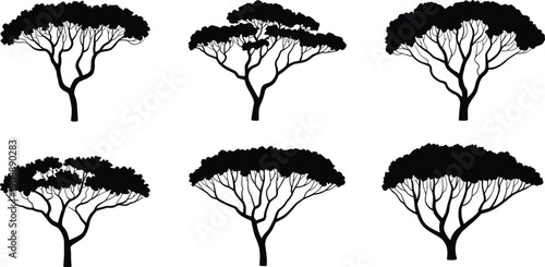 Set of acacia tree silhouettes, African savanna flat canopy trees isolated collection for landscape design, nature illustration botanical vector elements premium pack