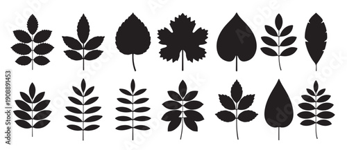  collection of sixteen black silhouettes of various leaf 