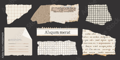 Collection of torn paper pieces with varied textures and text fragments