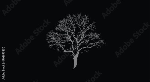 Bare Tree on Black Background Isolated