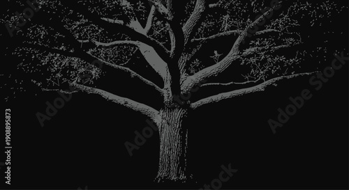 Large Tree Silhouette at Night
