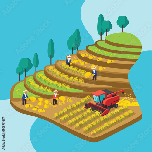 Harvesting Crops with Tractor and Workers.